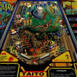 Gemini 2000